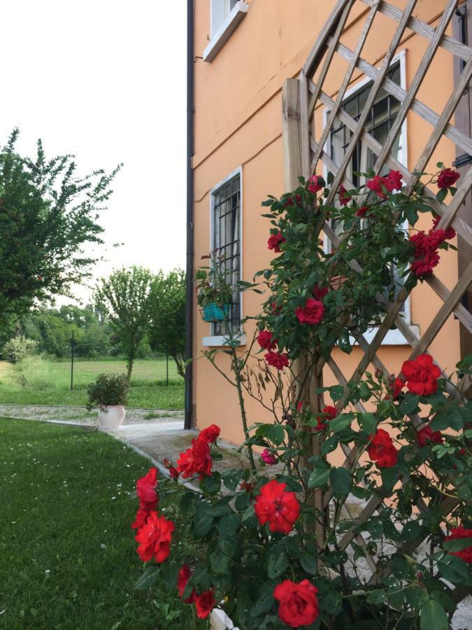 Il "Green " In Giardino Φεράρα Εξωτερικό φωτογραφία